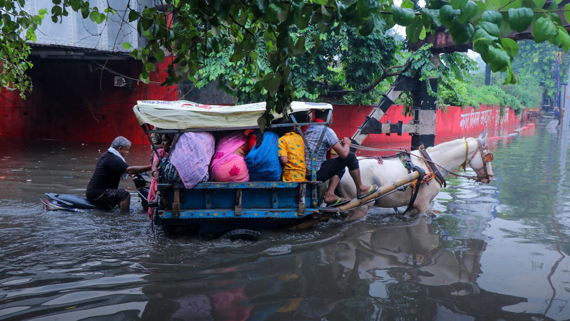 15 قتيلاً بفيضانات ضربت ولاية غوجارات غرب الهند 