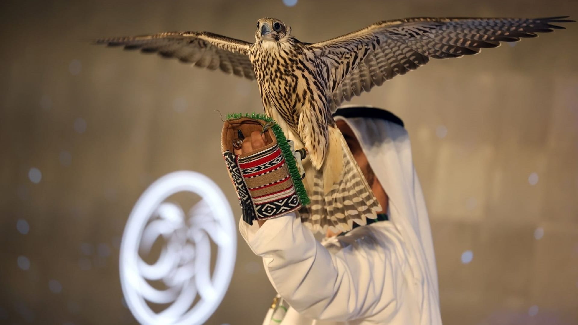 معرض أبوظبي للصيد والفروسية يسلط الضوء على أحدث معدات القطاع 