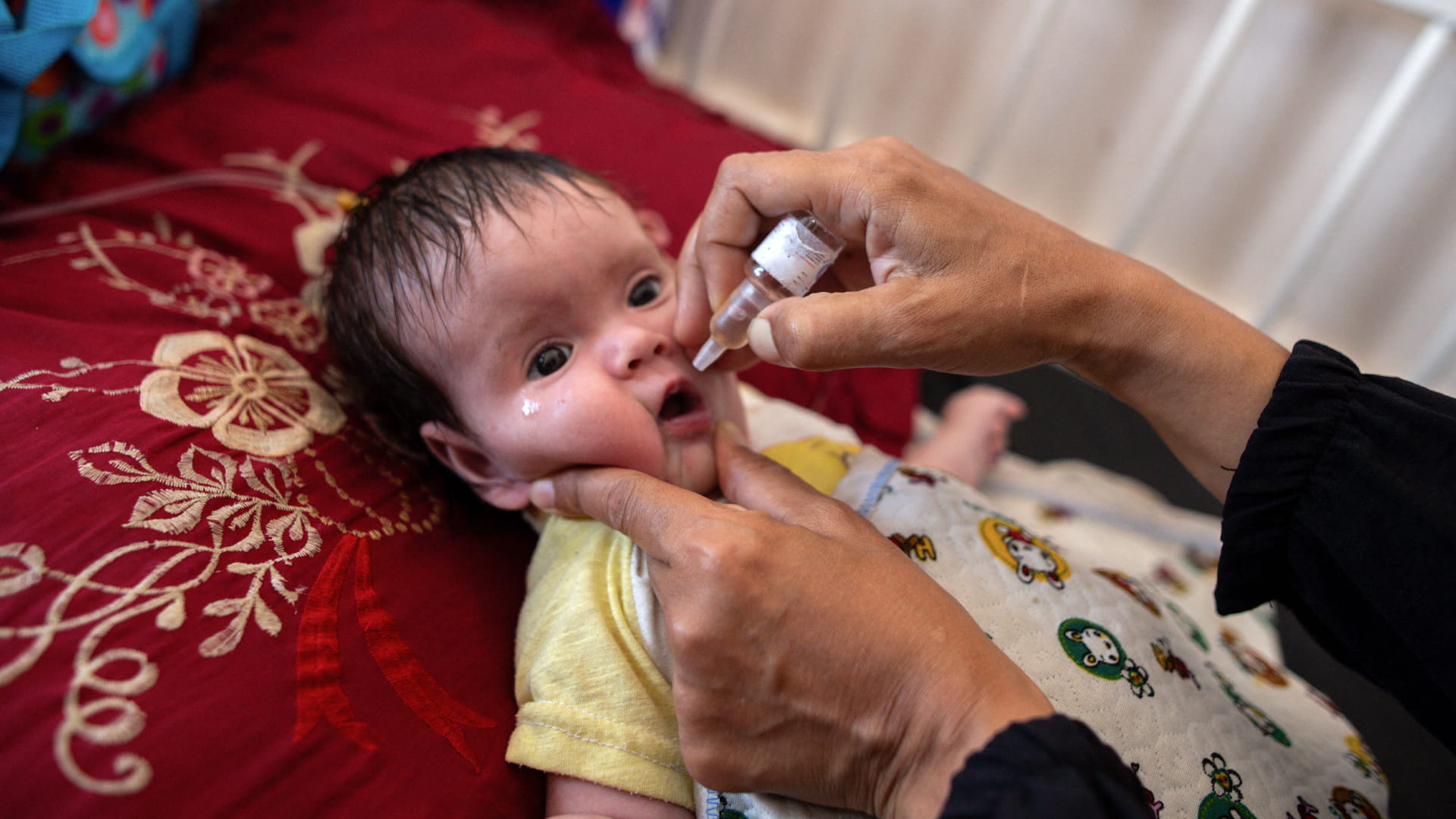 الصحة الفلسطينية: بدء حملة التلقيح ضد شلل الأطفال في وسط غزة 