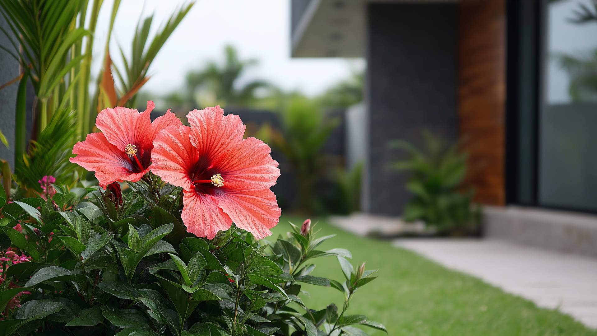 نباتات تتحمل درجات الحرارة العالية_ ازرَعها في حديقة منزلك 