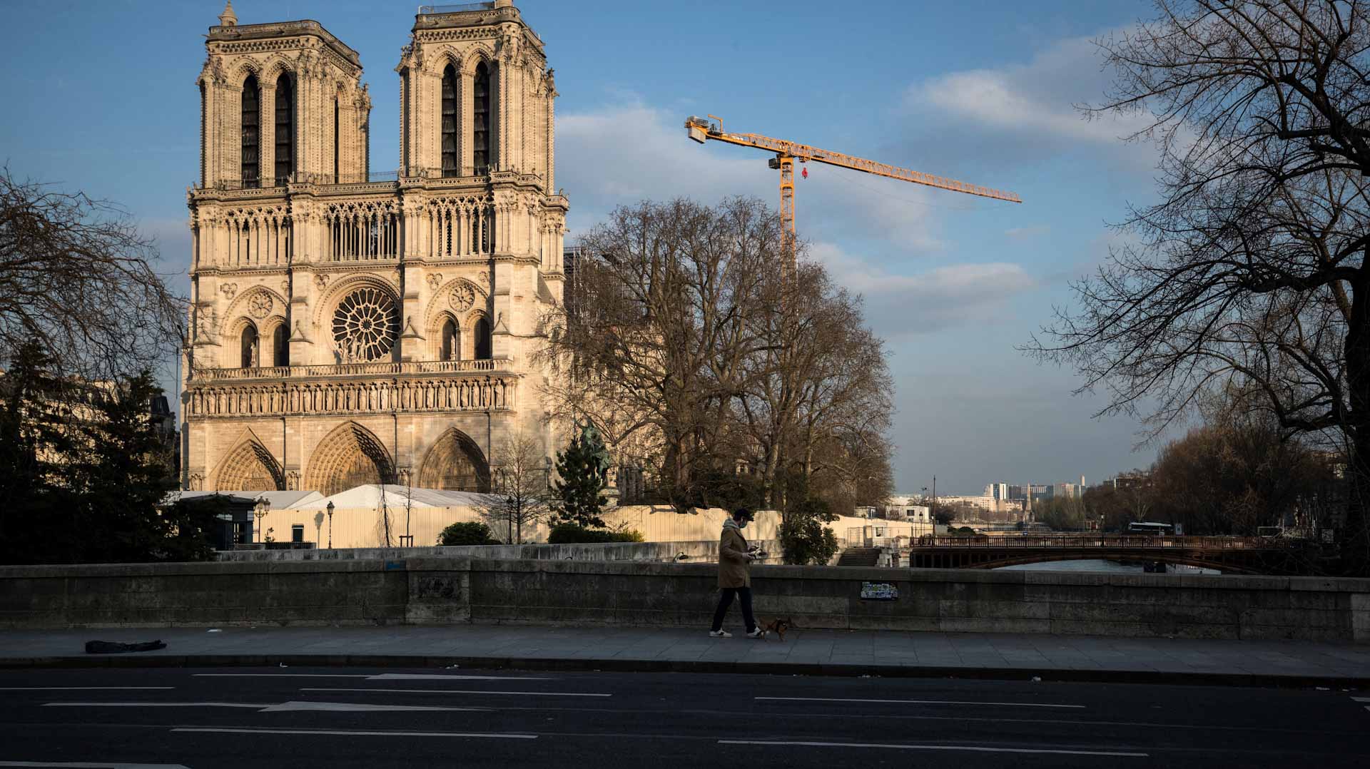 Image for the title: Trump to attend reopening of Notre Dame in Paris 