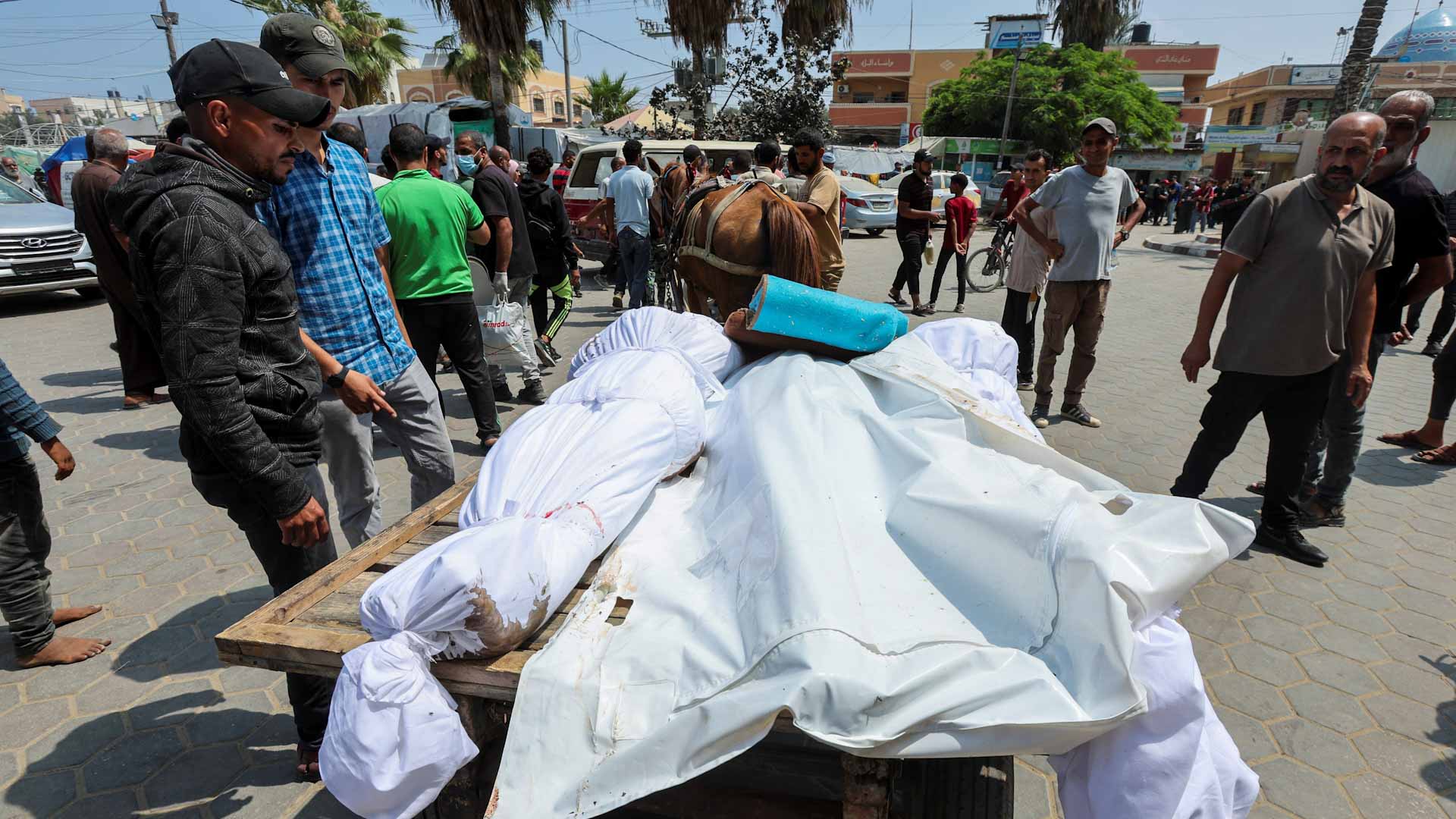 قصف إسرائيل المستمر على غزة يقتل 44580 فلسطينياً منذ7 أكتوبر 2023 