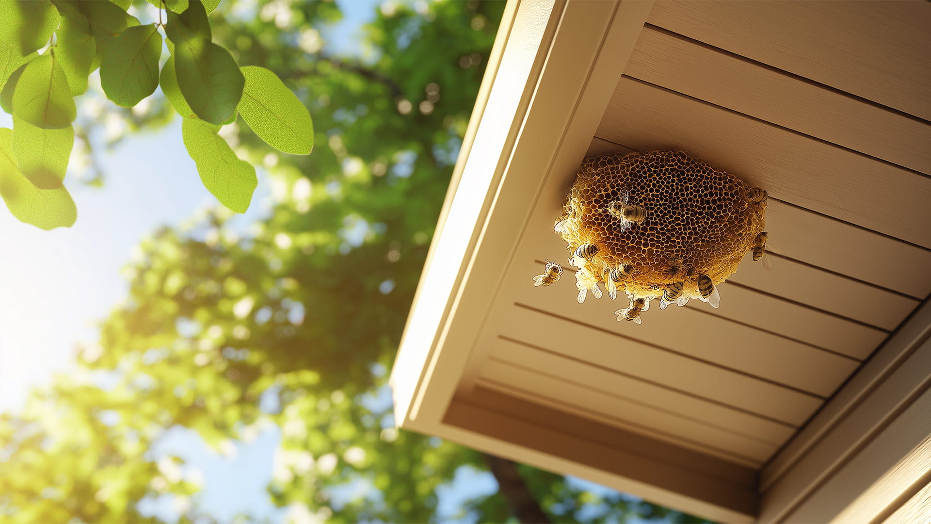 كيفية التخلص من خلية النحل في المنزل بطريقة آمنة 