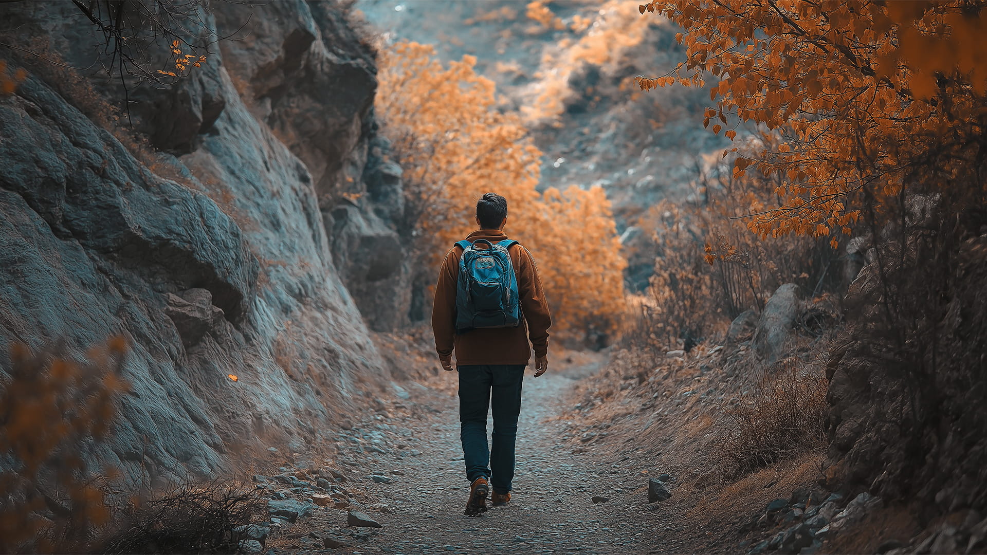 نصائح ذهبية للمشي لمسافات طويلة للاستمتاع بتجربة ممتعة وآمنة