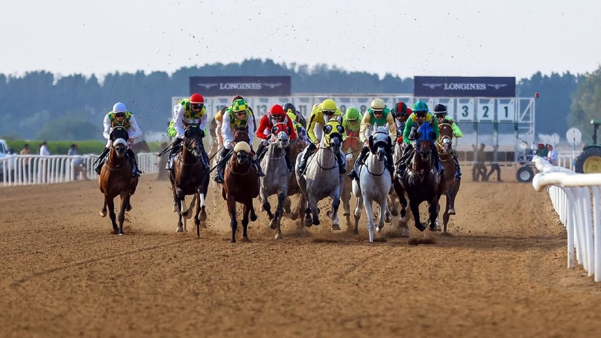 GCC Horse Racing Cup begins in Sharjah Saturday 
