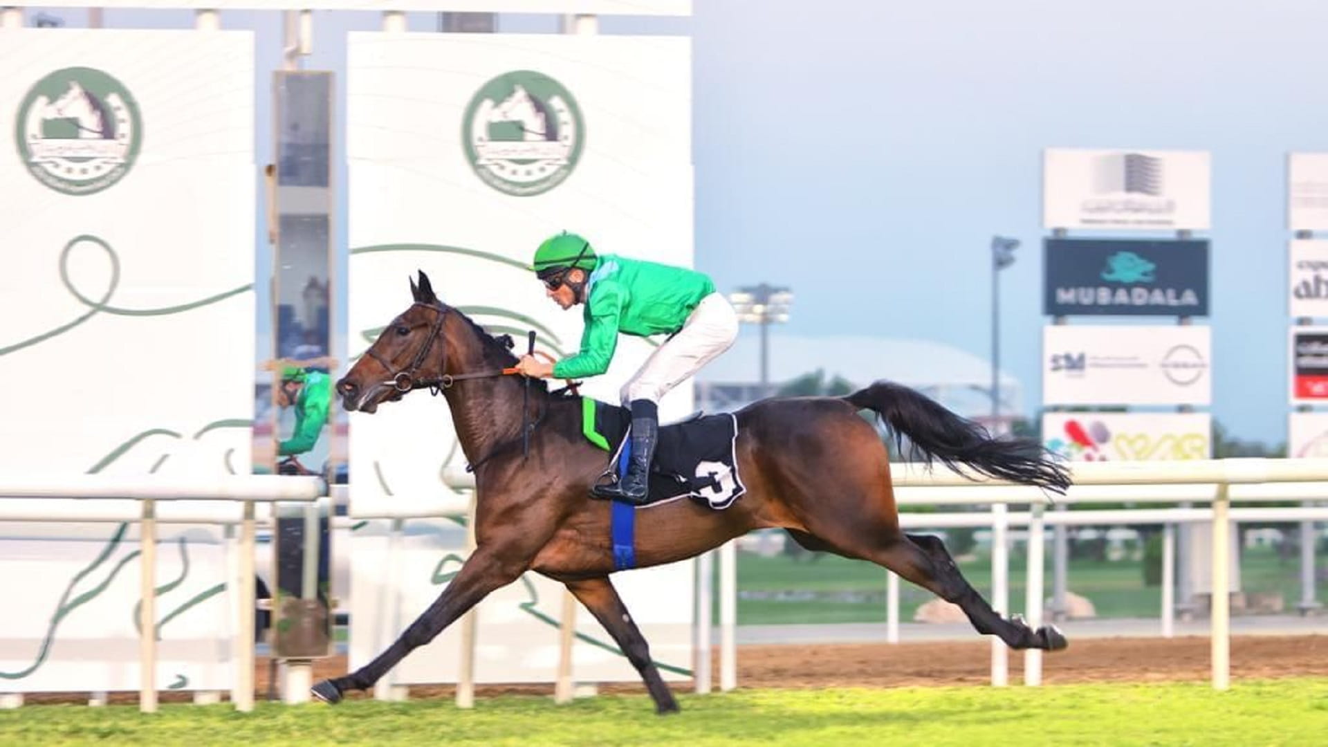 صورة بعنوان: السبت انطلاق كأس رئيس الدولة للخيول العربية من أبوظبي 