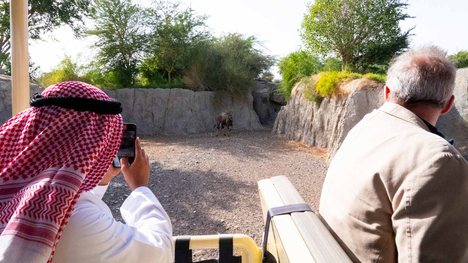 صورة بعنوان: "الشارقة لصون التنوع الحيوي"يناقش محور إعادة توطين الأحياء البرية 