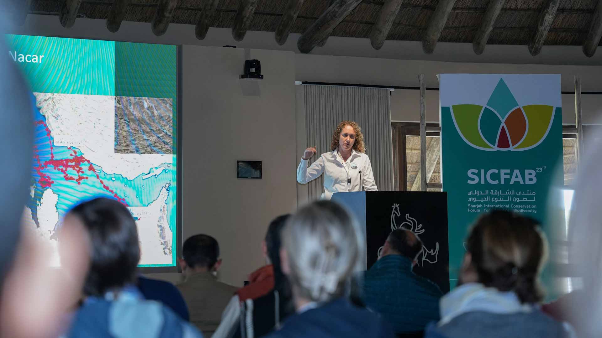 صورة بعنوان: خبراء في "صون التنوع الحيوي" يناقشون ظاهرة الجنوح البحري  