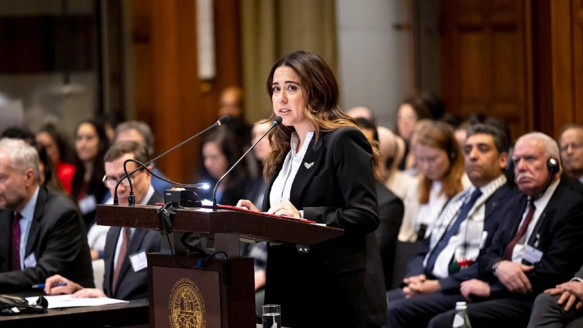 Image for the title: UAE advocates for viable two-state solution for Palestinians 