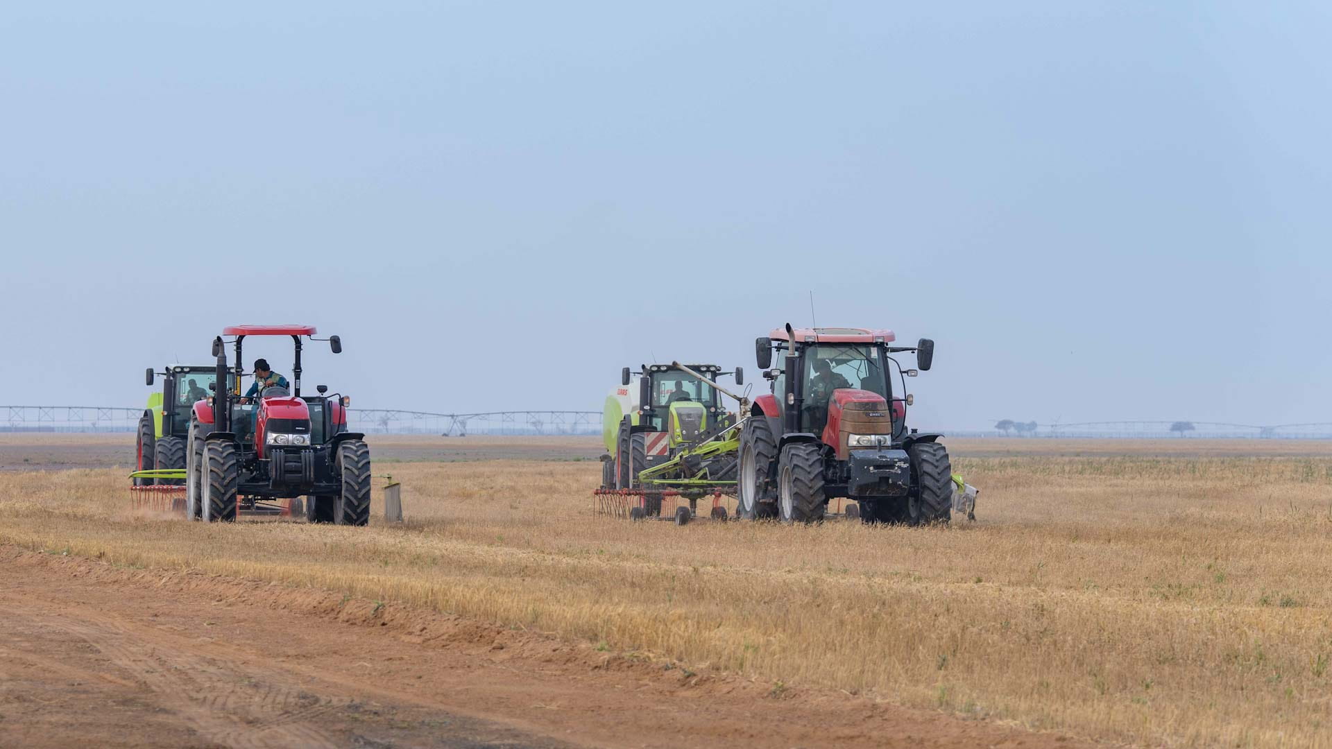 صورة بعنوان: الأمن الغذائي في الشارقة – آفاق نحو استدامة غذائية 