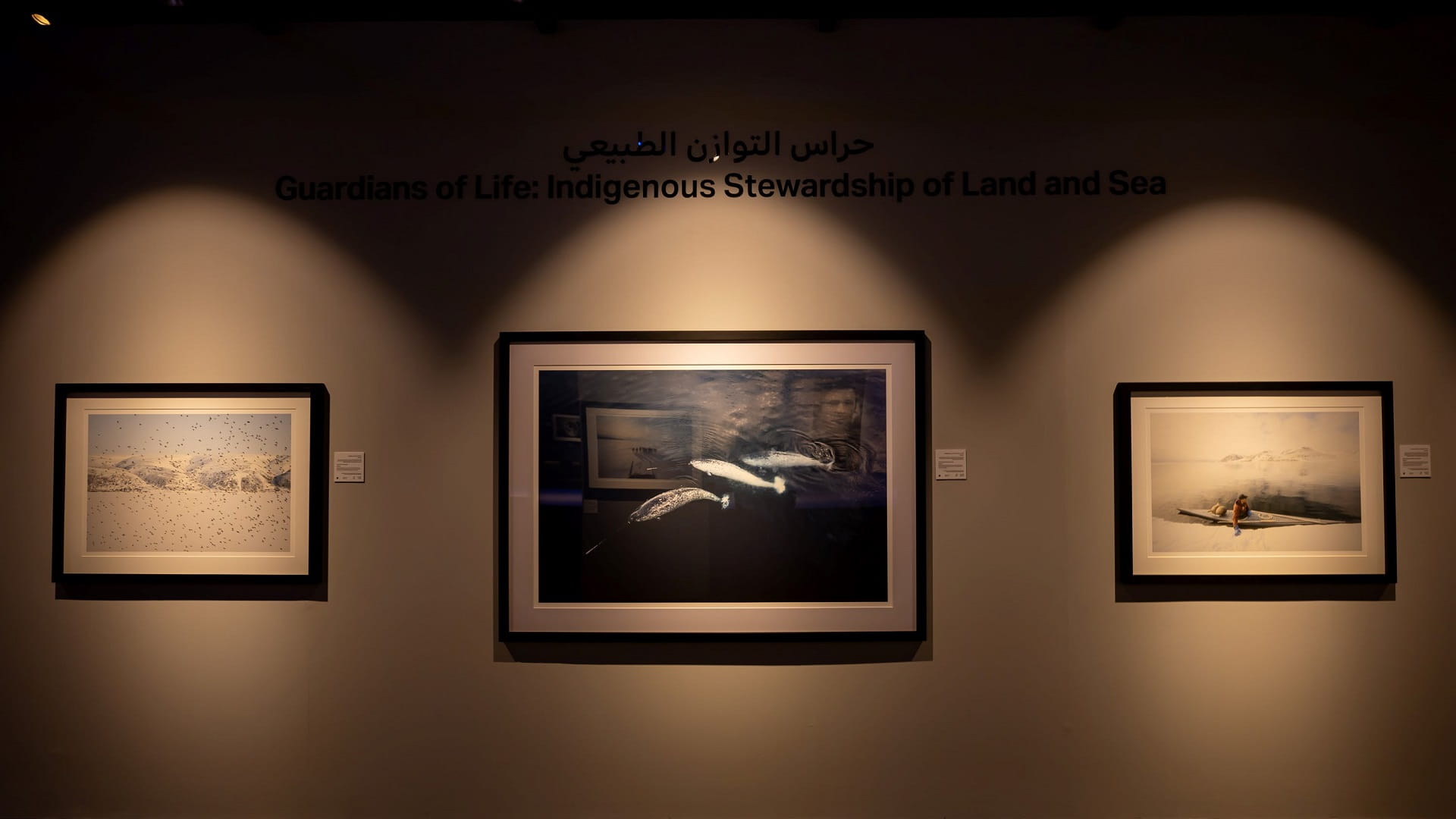 Image for the title: Indigenous way to Earth’s envir. stewardship revealed at Xposure 