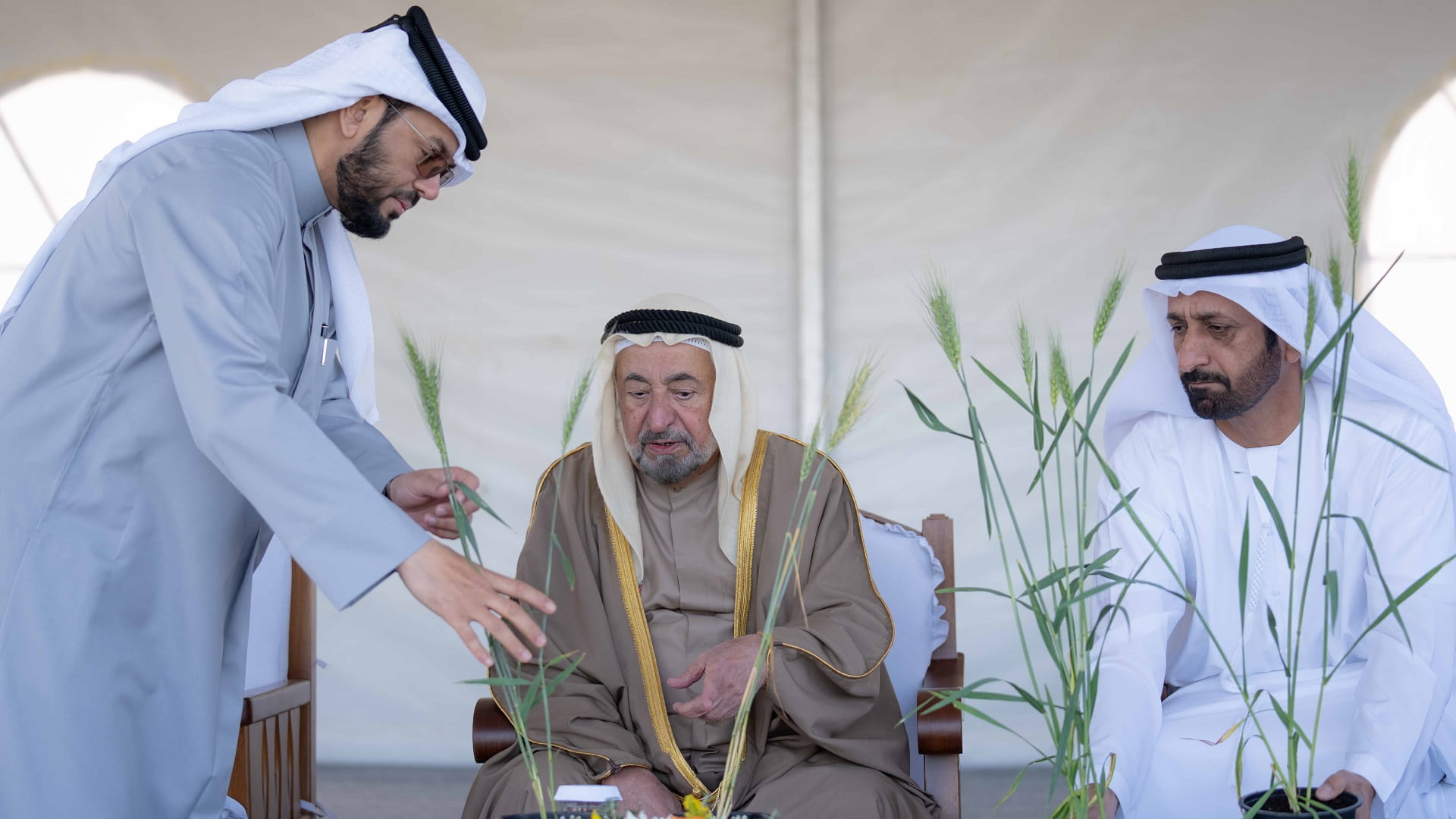 Image for the title: Sharjah Ruler explores wheat farm innovations in Mleiha 