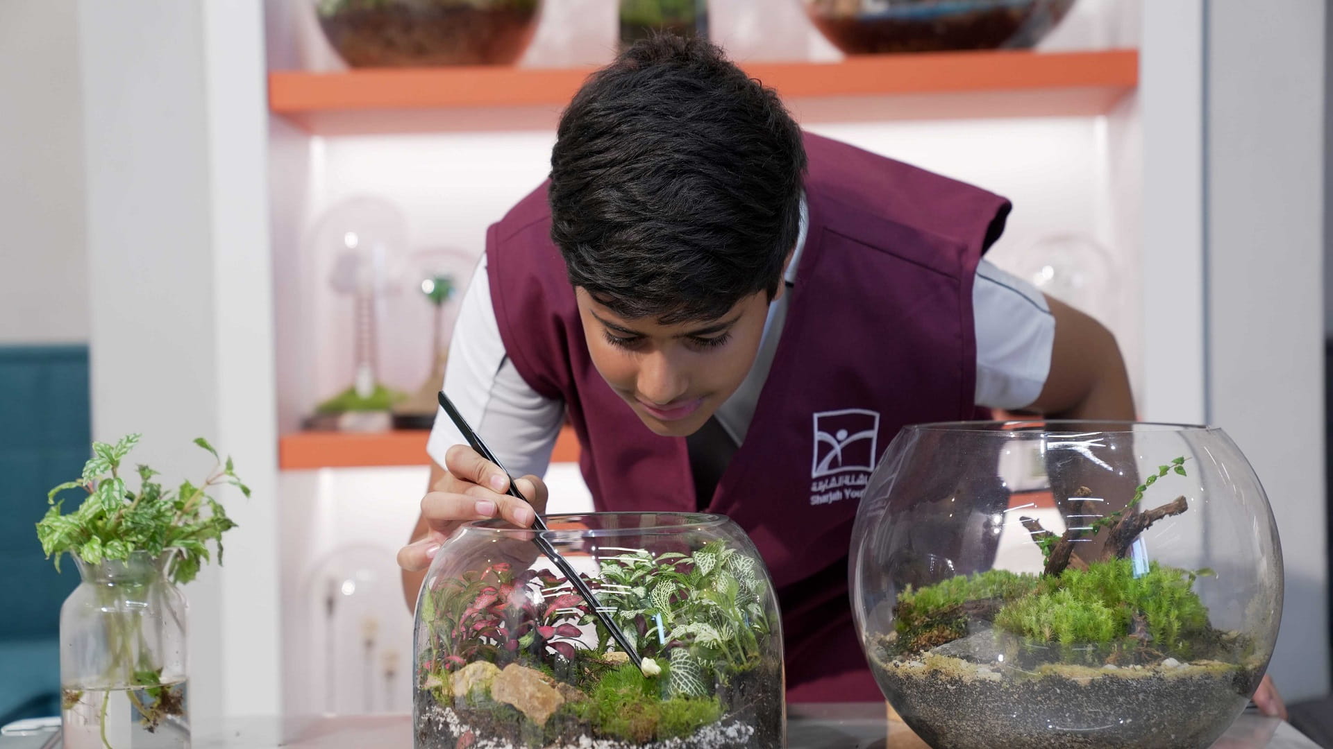 صورة بعنوان: في الشارقة.. "موسم ربع قرن" ينطلق بتجربة استثنائية ملهمة 