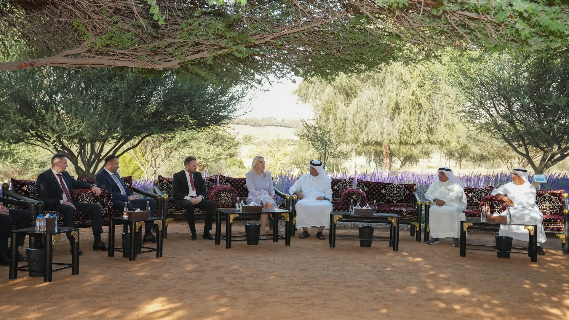 Image for the title: RAK Ruler receives Member of Bosnia and Herzegovina Presidency 