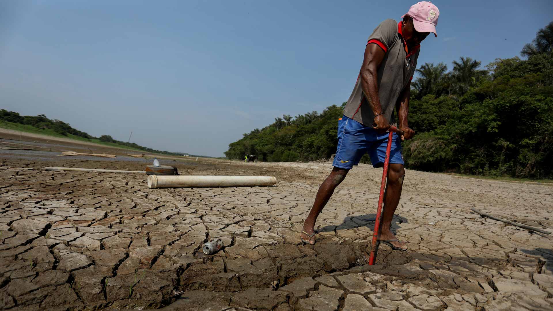 Image for the title: Climate change behind extreme Amazon drought: study 