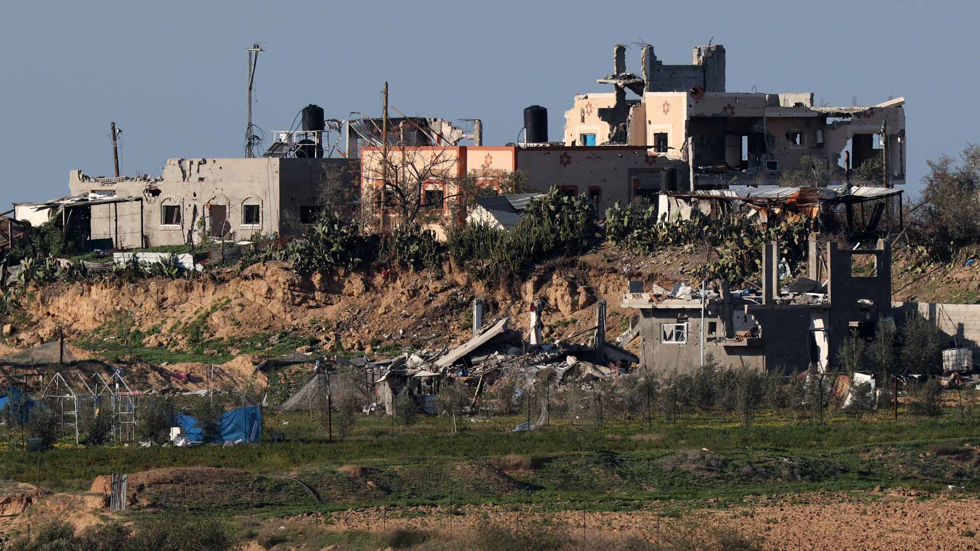 Image for the title: Health ministry in Gaza says Israel kills 20 waiting for aid 