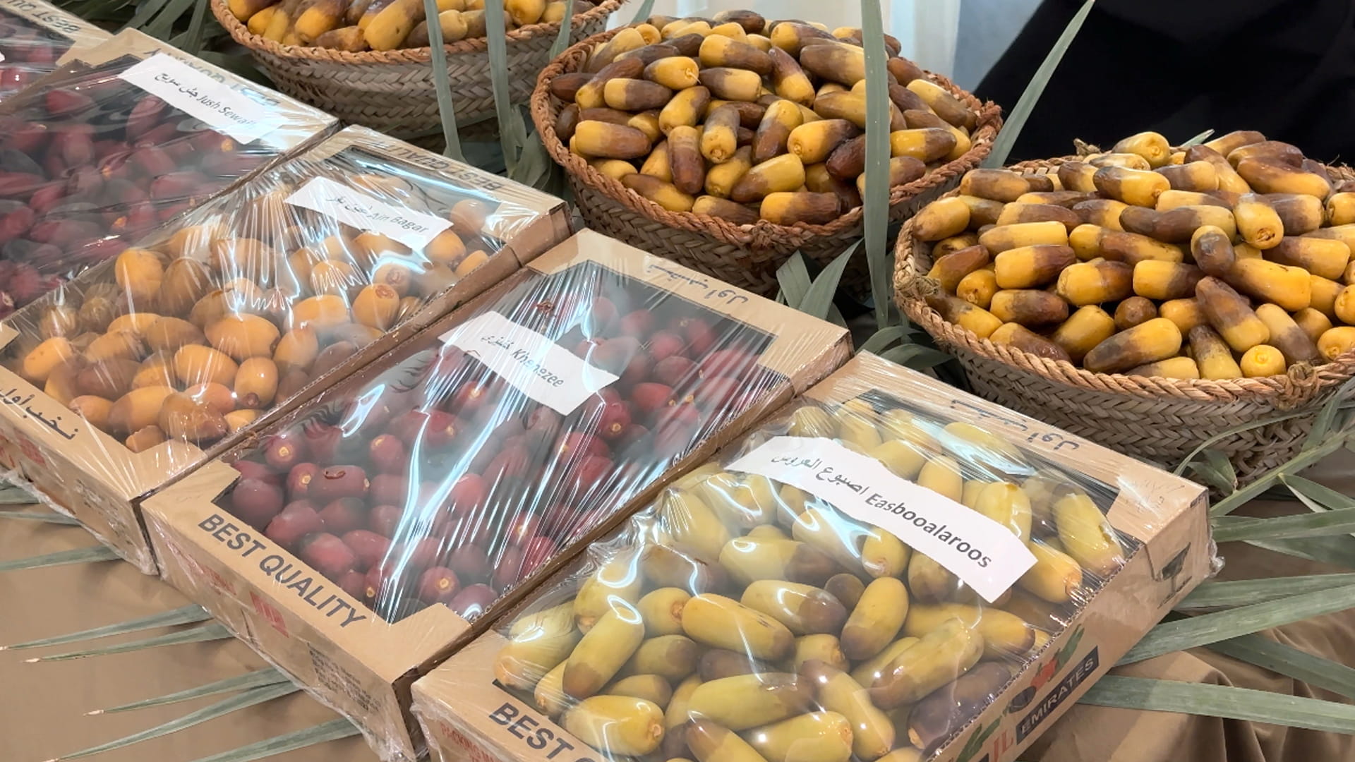 Image for the title: Al Dhaid Dates Festival kicks off on July 25 at Expo Al Dhaid 