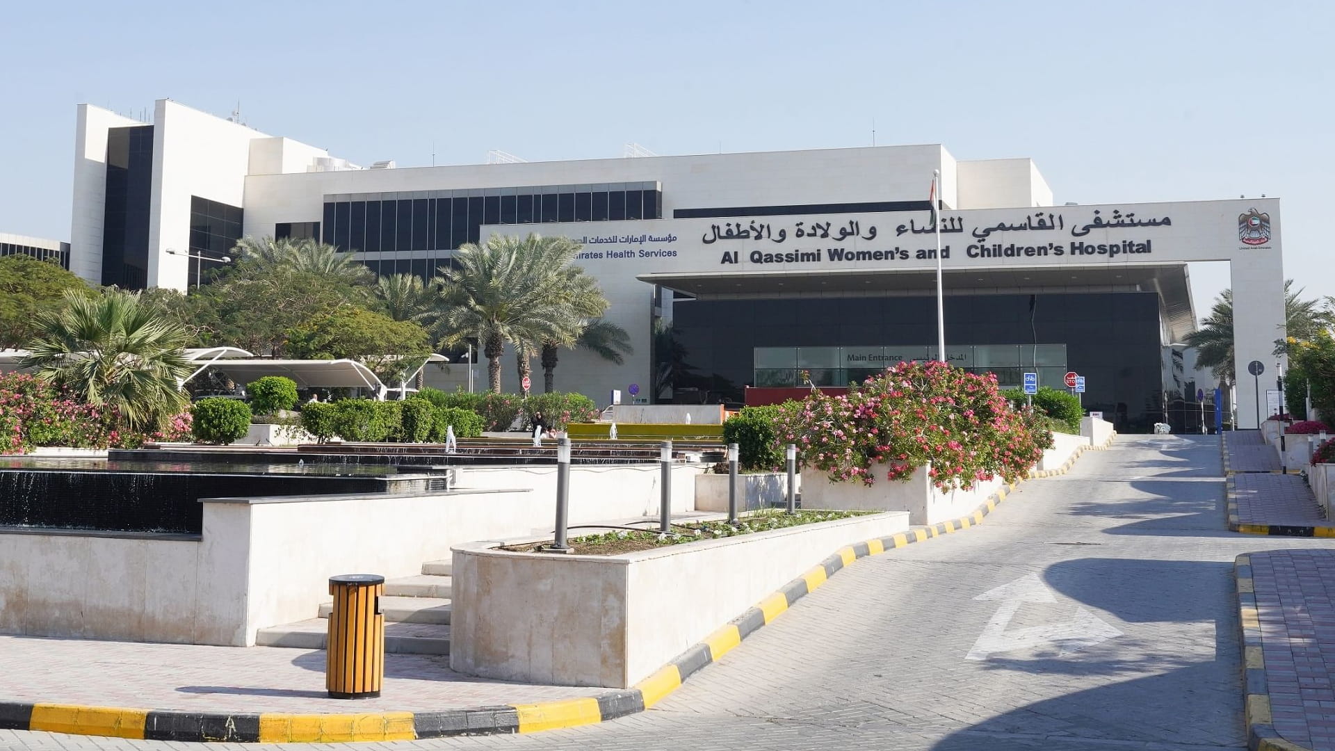 Image for the title: Al Qassimi Hospital treats uterine fibroids without surgery 