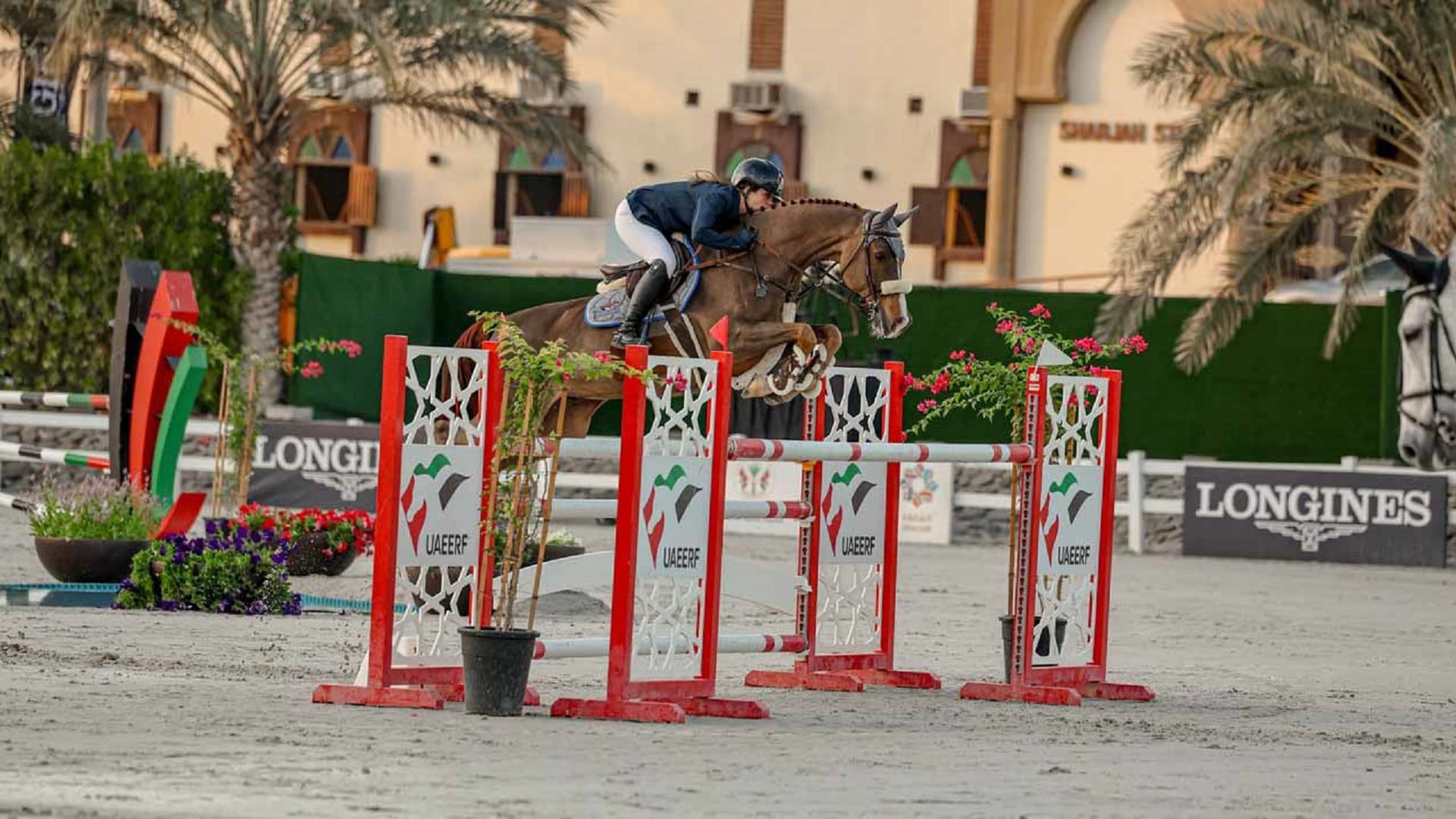 صورة بعنوان: نادي الشارقة للفروسية يستضيف خامس جولات ملتقى قفز الحواجز 13 يوليو 