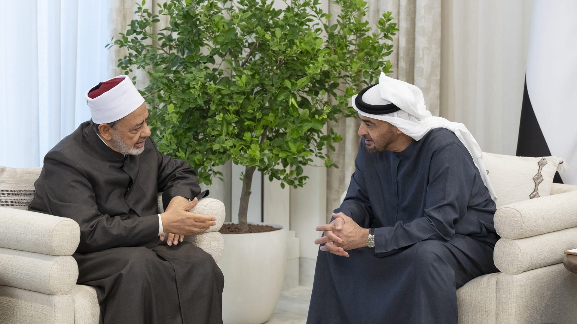 Image for the title: UAE President receives Grand Imam of Al Azhar 