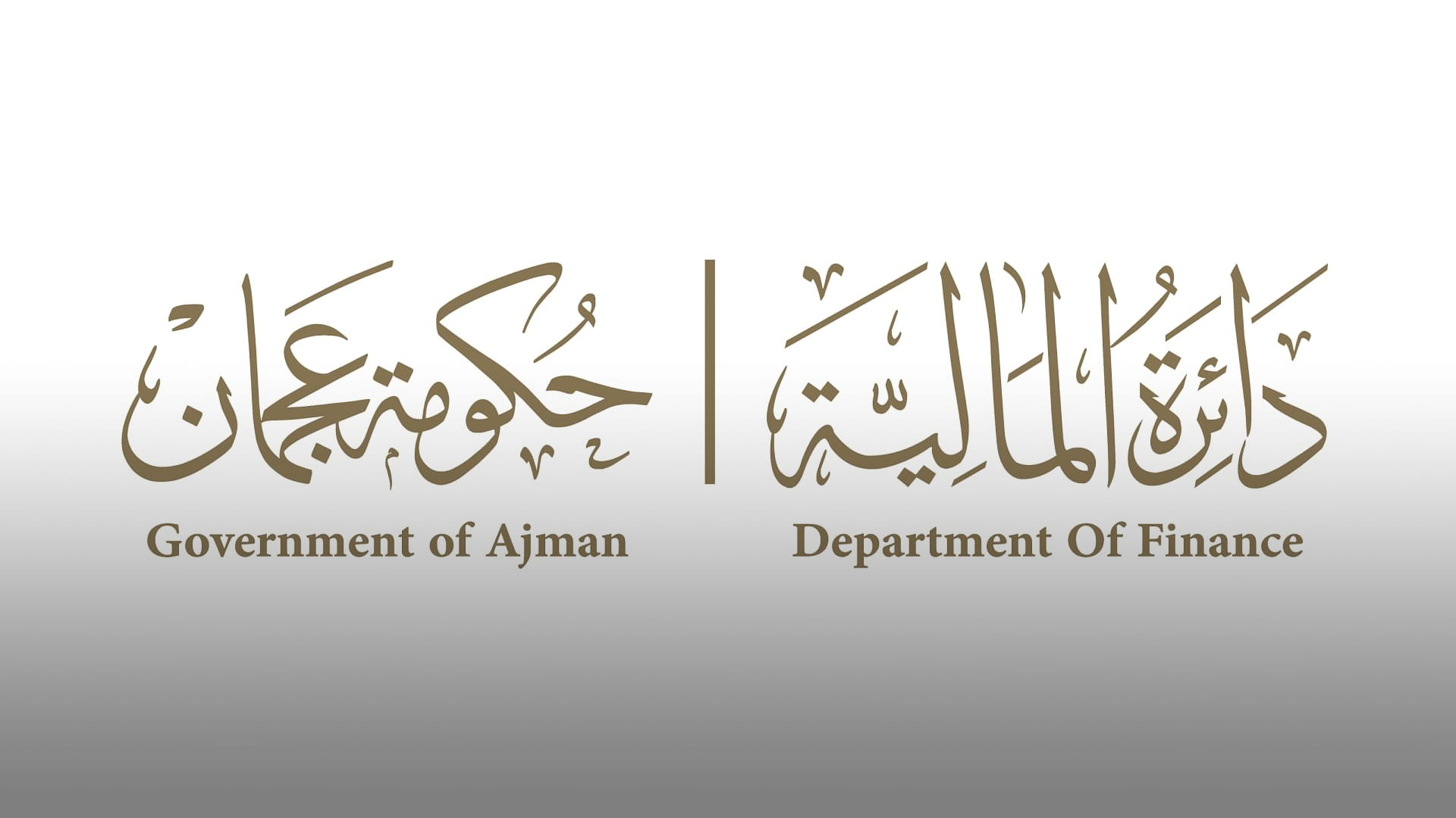 صورة بعنوان: "مالية عجمان" تنمي المعارف التقنية لمنتسبي "صيفنا سعادة 2024" 