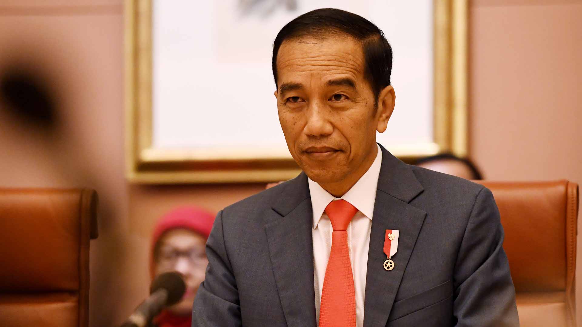 Image for the title: Indonesian President to commence state visit to UAE on Tuesday 