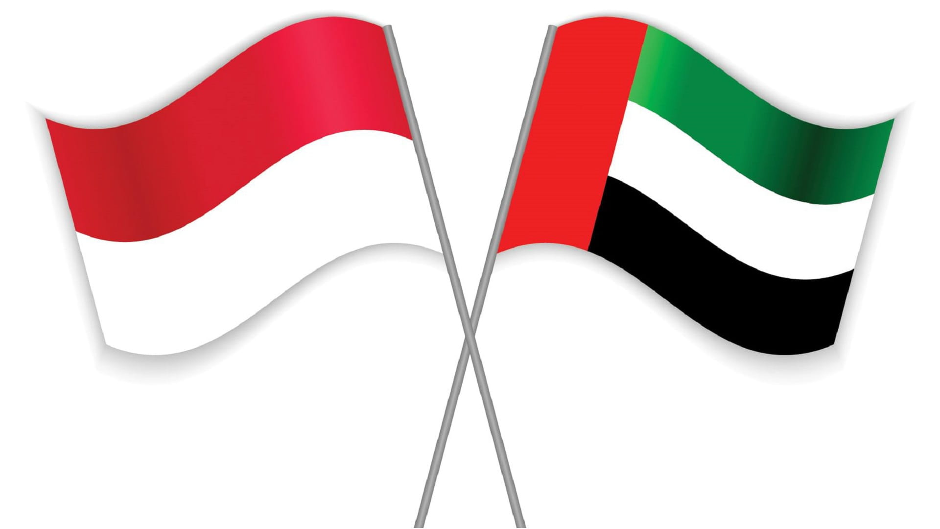 صورة بعنوان: الإمارات وإندونيسيا.. 47 عاماً من التعاون والصداقة 