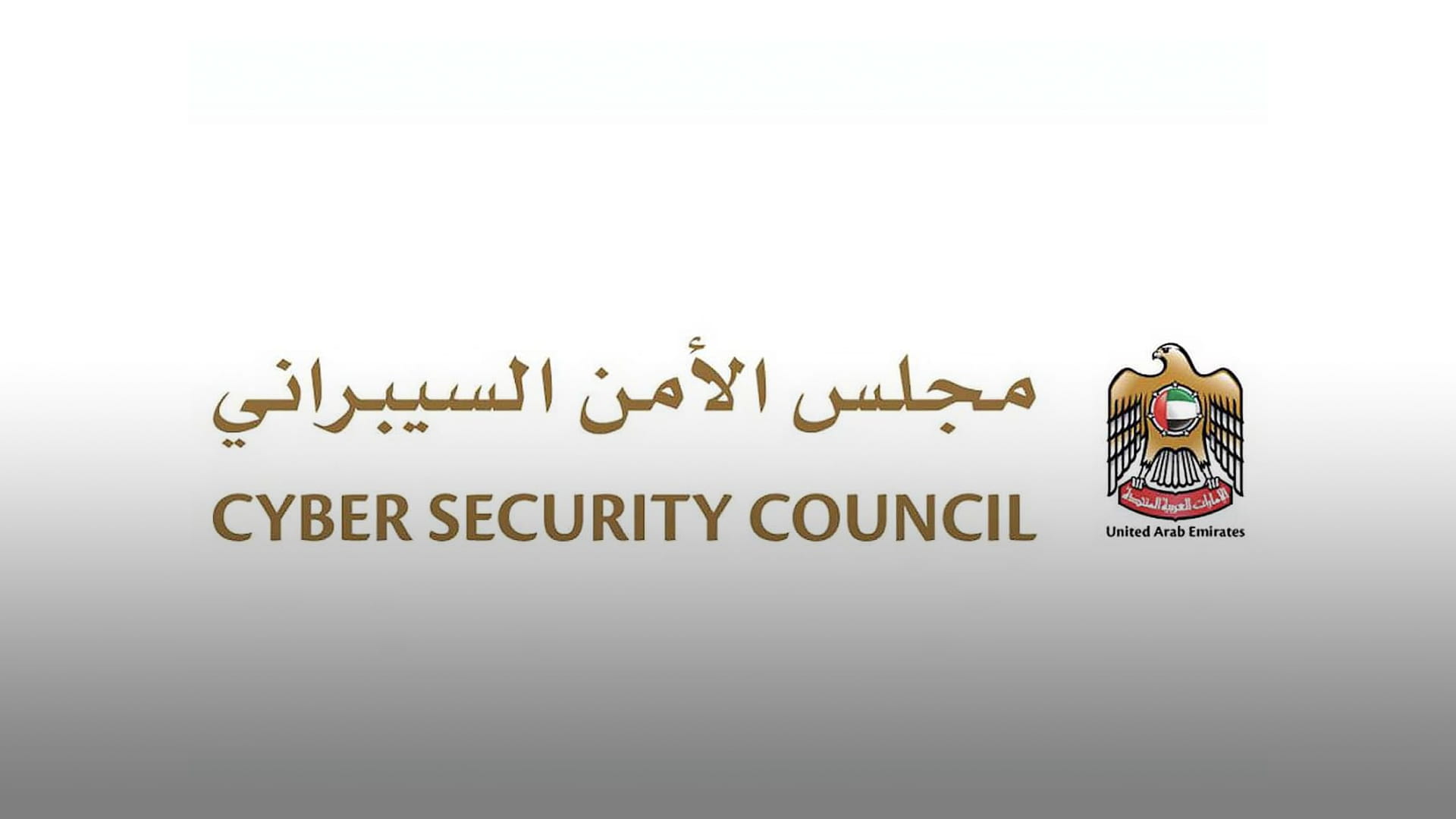 صورة بعنوان: "الأمن السيبراني": لا مؤشرات لهجمات سيبرانية إثر الخلل العالمي 