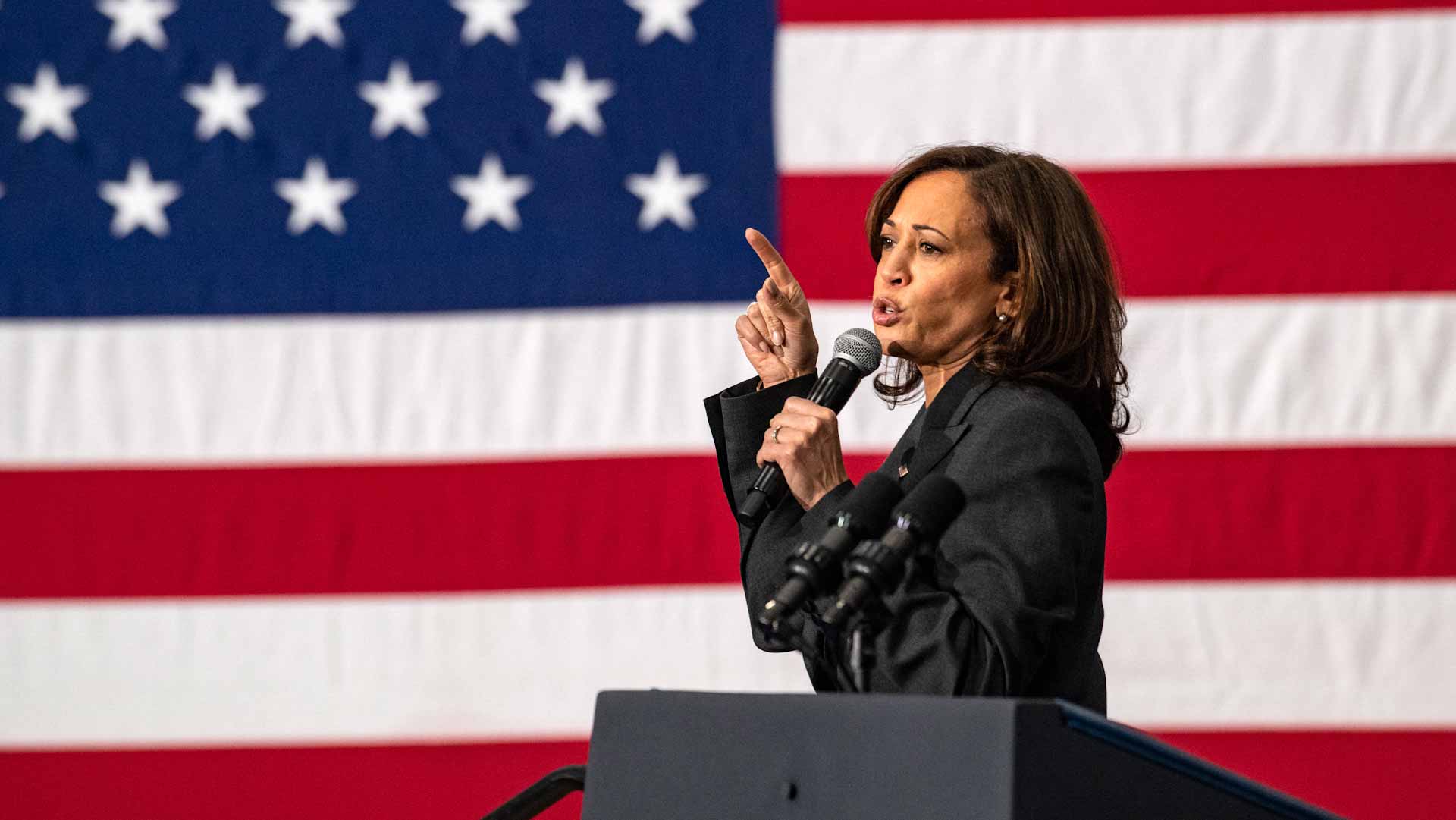 صورة بعنوان: هاريس تتعهد بالفوز بترشيح الحزب الديموقراطي وهزيمة ترامب 