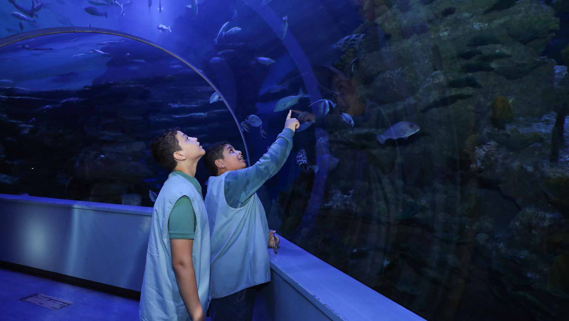 صورة بعنوان: "ناشئة الذيد" ينظم 50 نشاطاً ضمن فعاليات "صيفك ويانا 2024" 