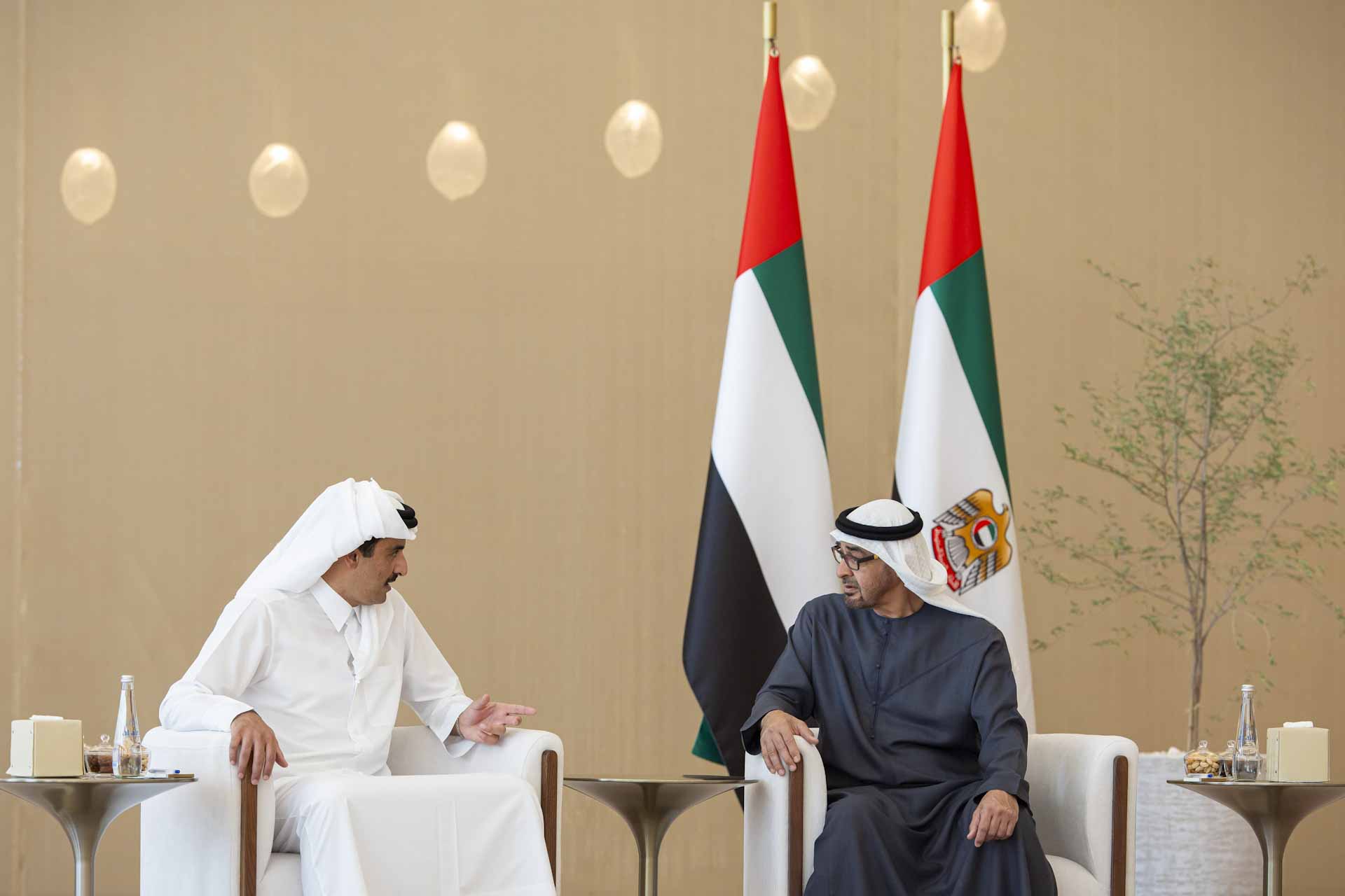 صورة بعنوان: رئيس الدولة وأمير قطر يبحثان العلاقات الأخوية والقضايا الإقليمية 