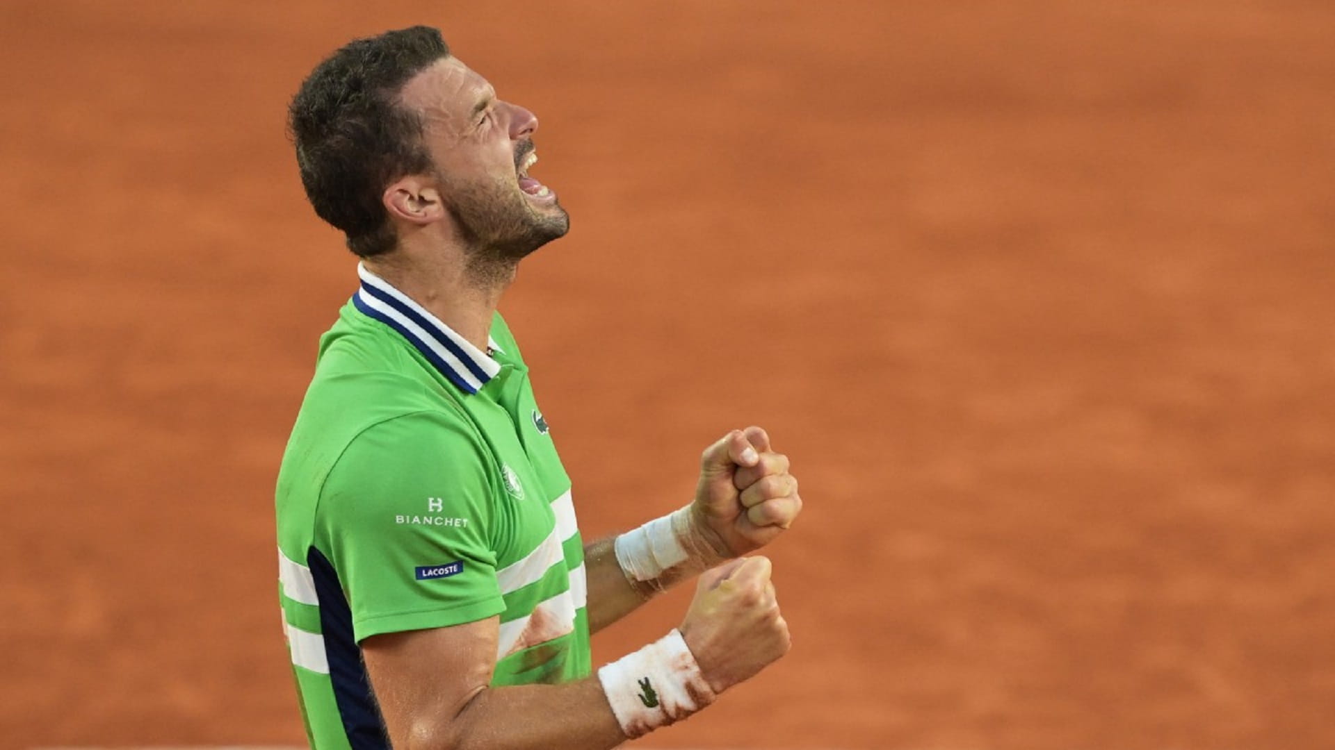 صورة بعنوان: البلغاري ديمتروف يتأهل إلى ربع نهائي رولان جاروس 