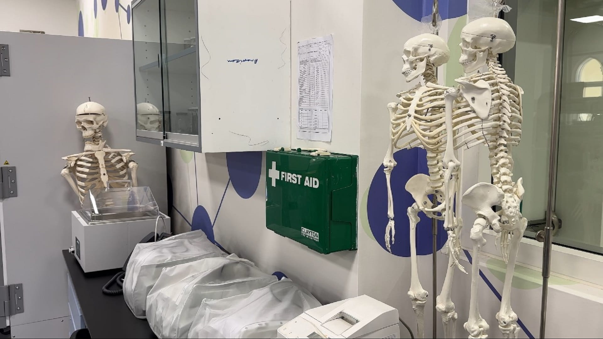 صورة بعنوان: "أميركية الشارقة" تطرح "البرنامج التحضيري لدراسة الطب" 