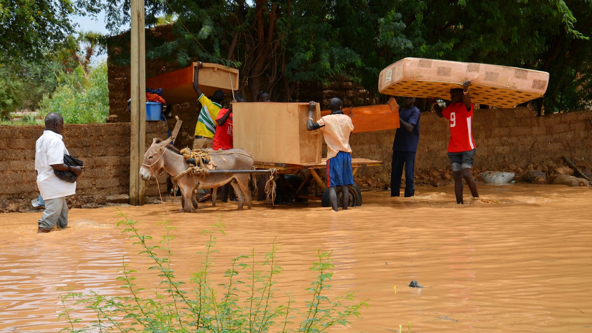 صورة بعنوان: بعد أمطار غزيرة.. عشرات الضحايا في فيضانات بالنيجر 