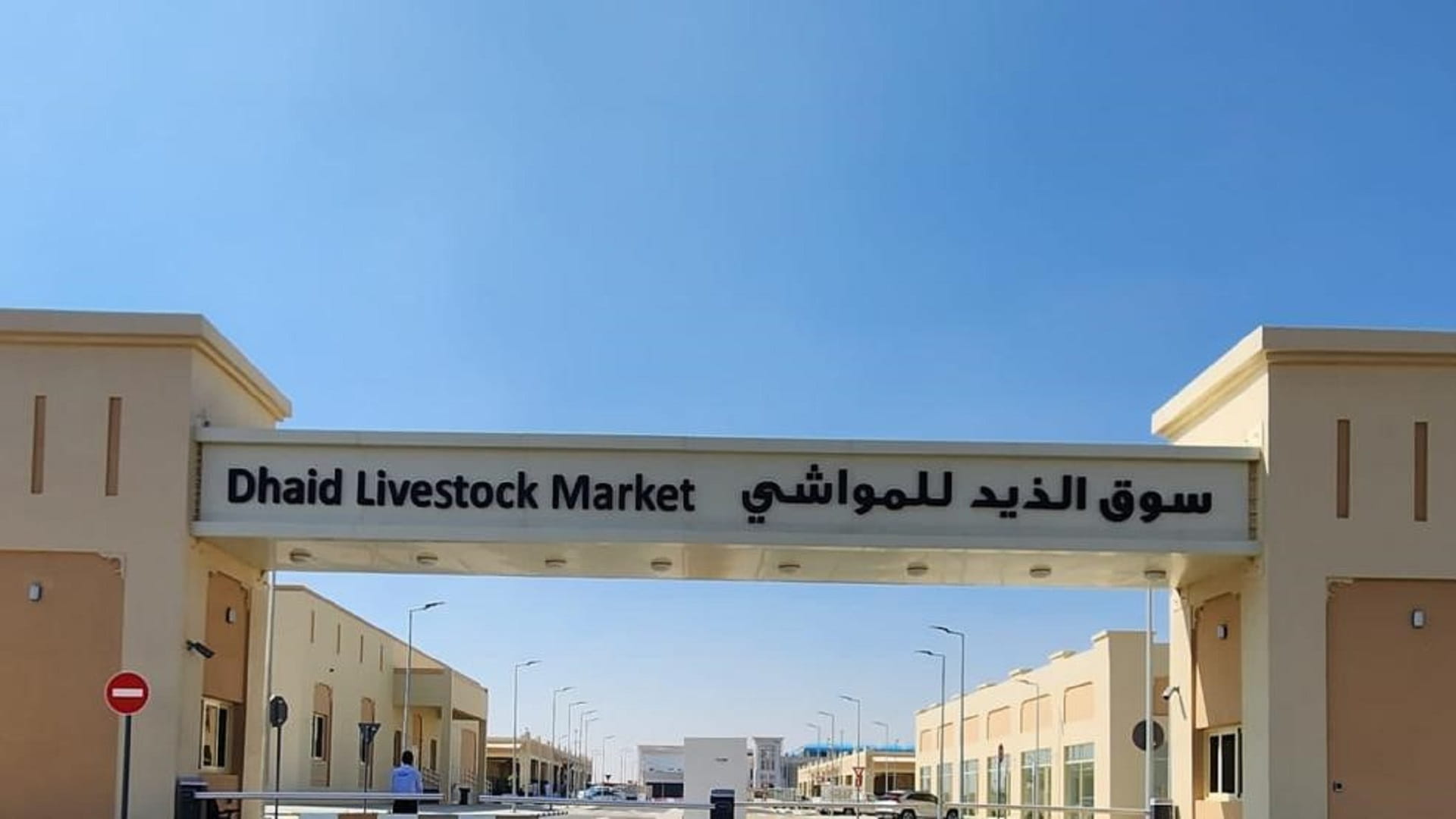 صورة بعنوان: أسواق المواشي بالذيد وكلباء وخورفكان مستعدة لاستقبال الزوار بالعيد 