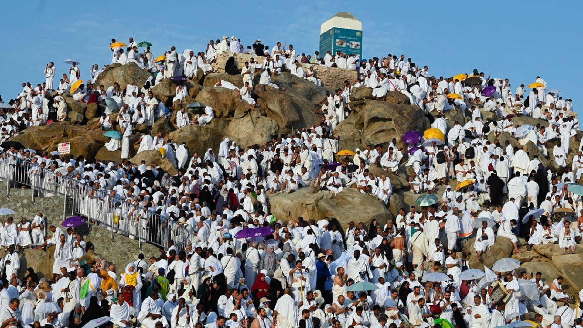 Image for the title: Pilgrims converge at Arafat for central rite of Hajj 