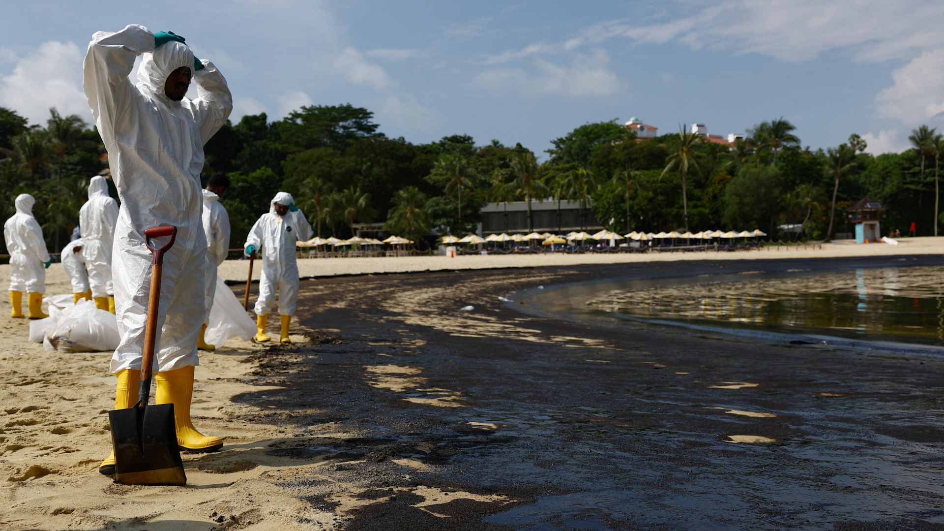 صورة بعنوان: لتهديده محمية..سنغافورة تكثف جهود تنظيف تسرب نفطي بعد انتشاره  