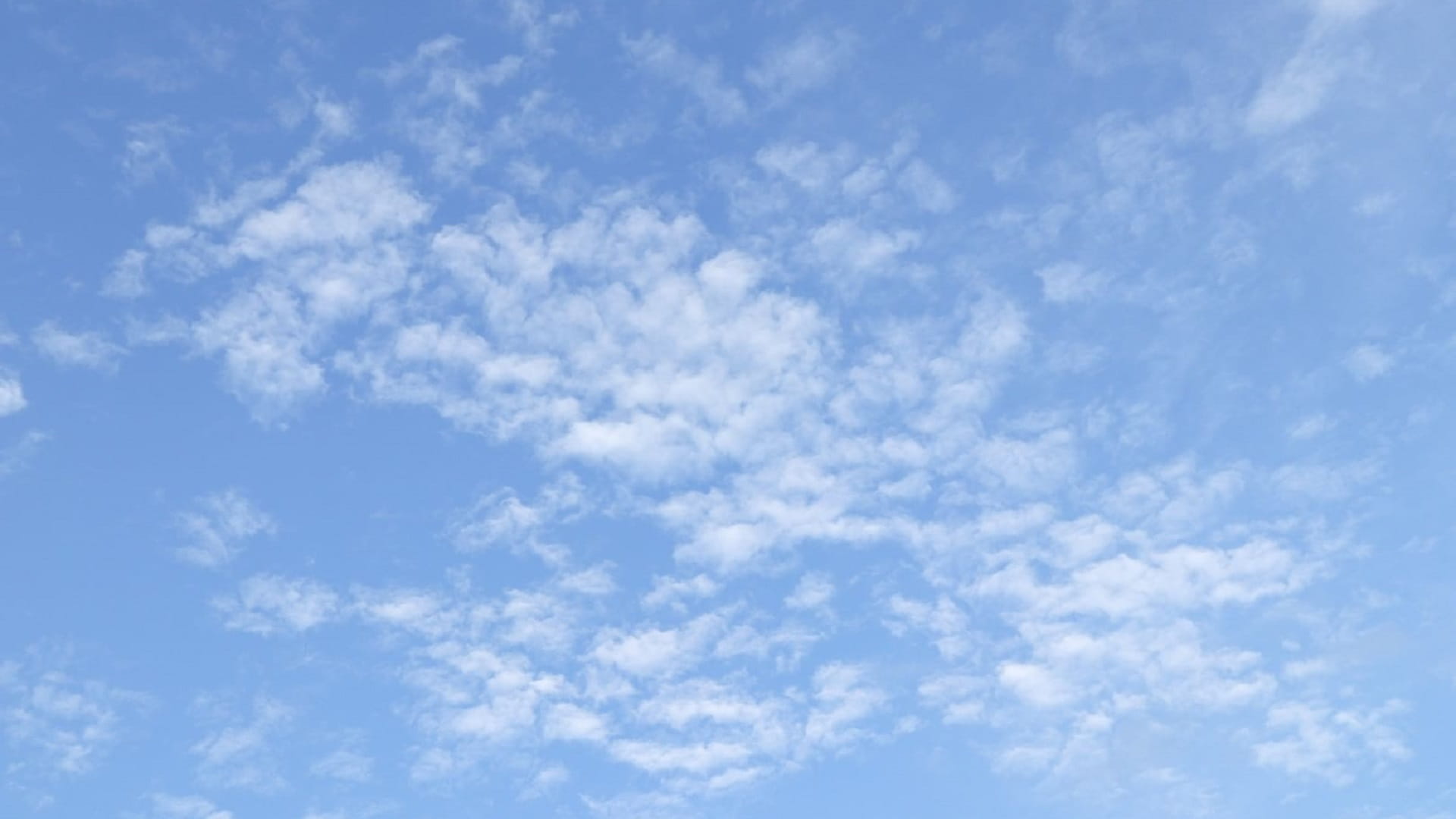 صورة بعنوان: مركز الأرصاد يحذر من رياح نشطة ومثيرة للغبار أحياناً غداً 