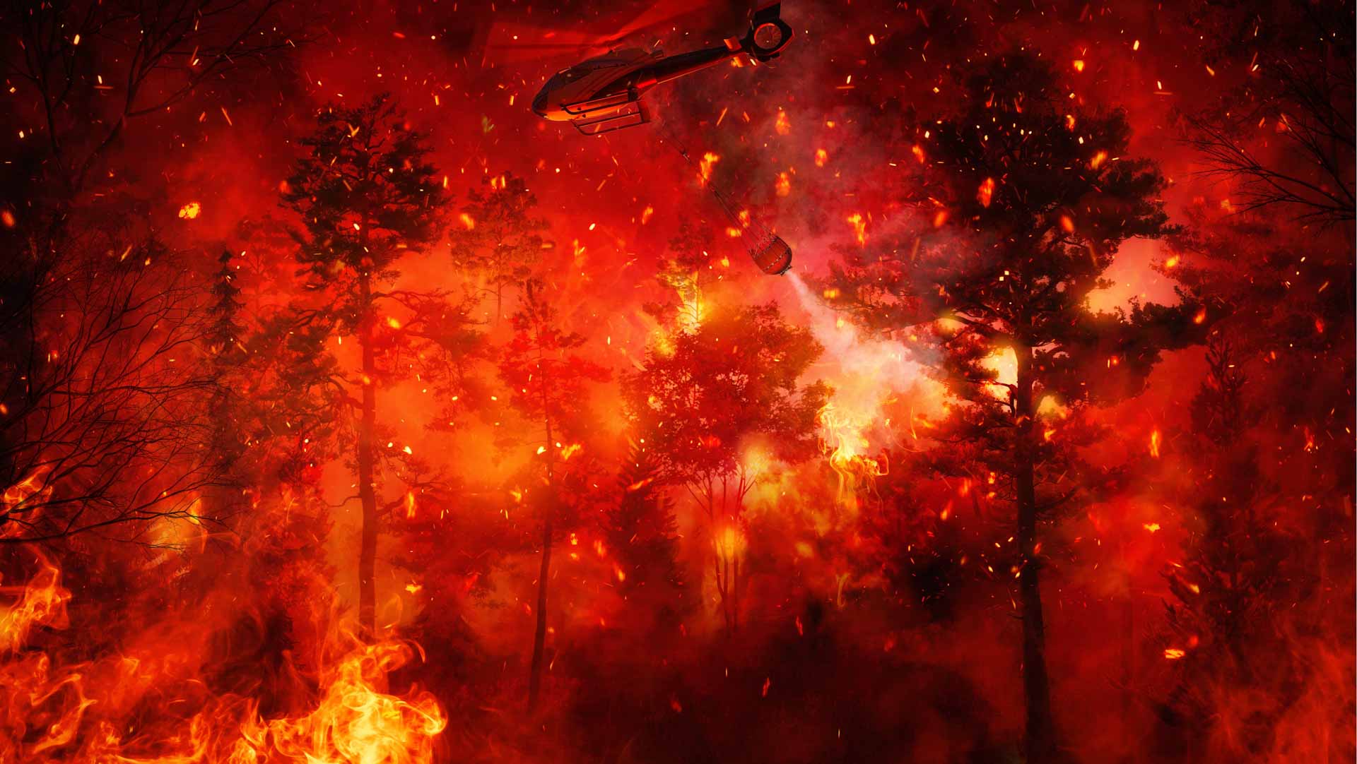 Image for the title: Turkey wildfire kills 12 and devastates flocks 