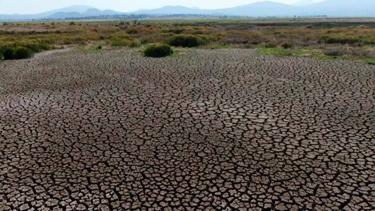 صورة بعنوان: المكسيك تسجل 155 حالة وفاة بسبب ارتفاع درجات الحرارة 