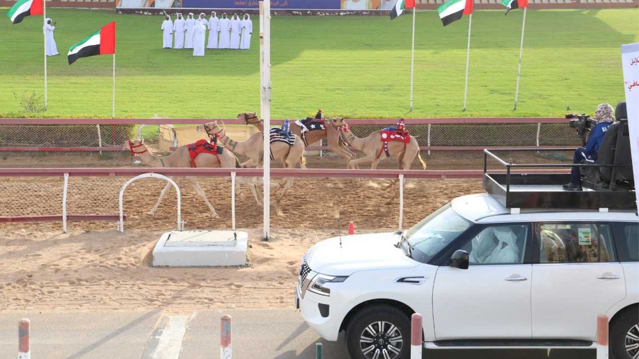 صورة بعنوان: نادي الشارقة لسباقات الهجن يحتفل باليوم العالمي للإبل 