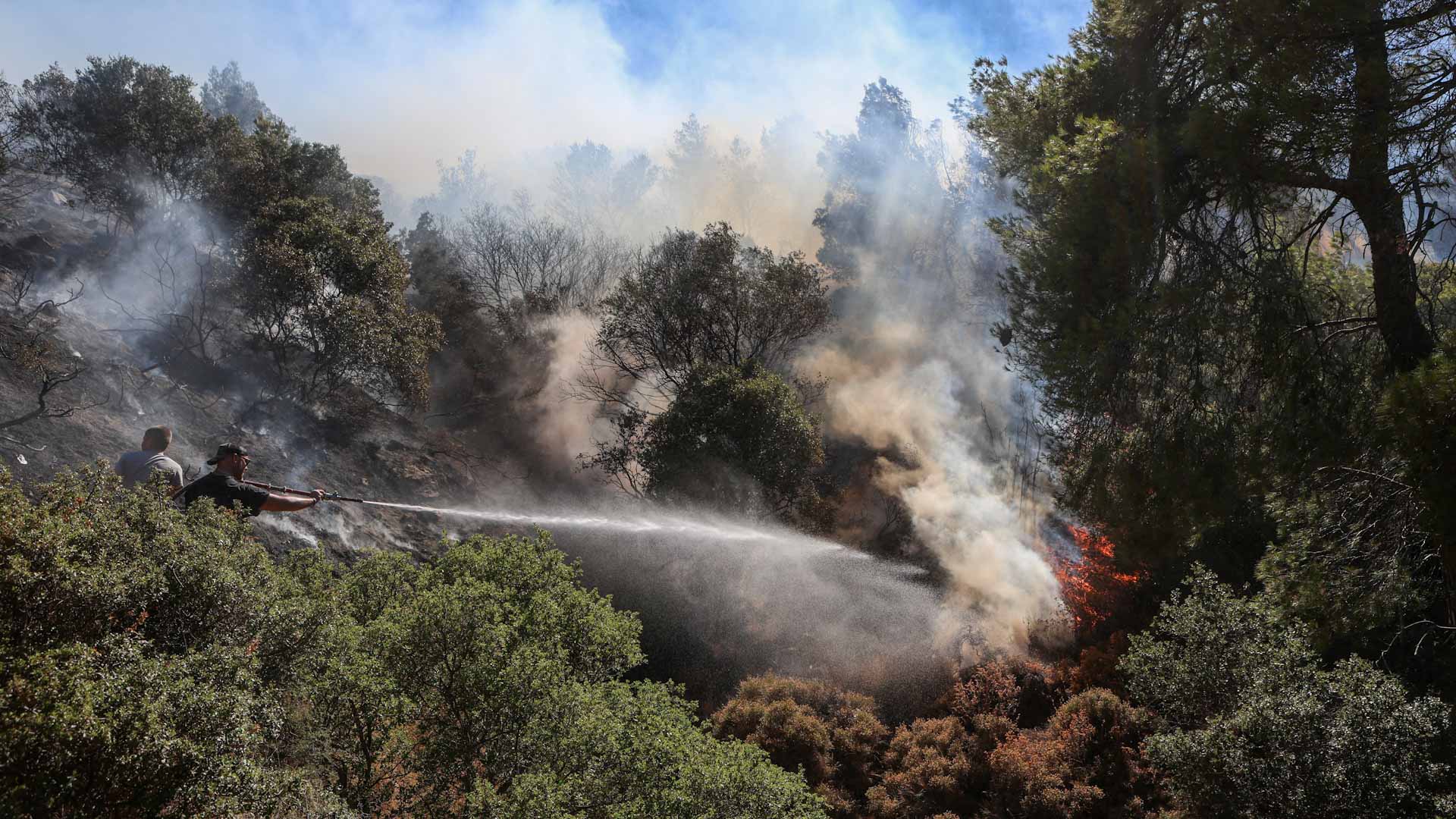 صورة بعنوان: لليوم الثاني توالياً..فرق الإطفاء تكافح حريقي غابات في اليونان 