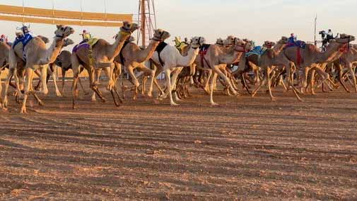 Image for the title: Al Ketbi: Al Wusta Channel Fest. witnesses high turnout 