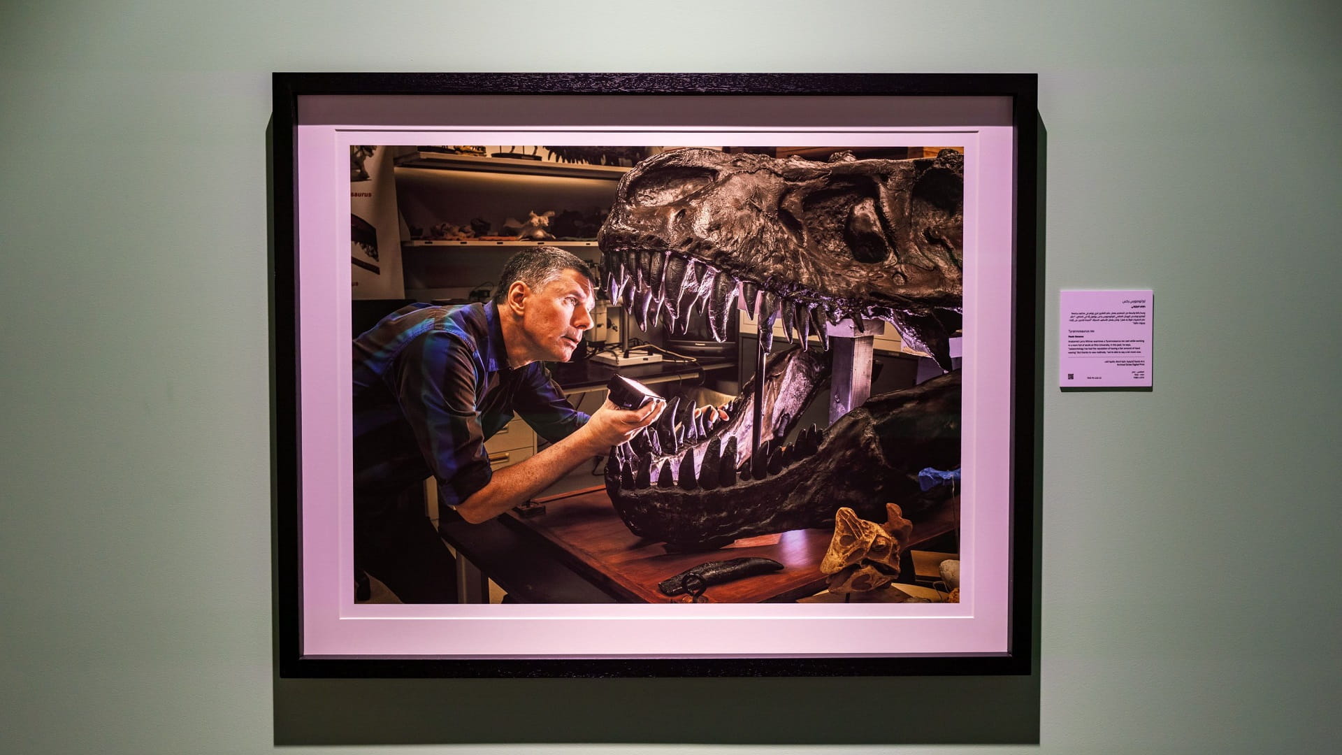 Image for the title: Excavations of dinosaur fossils in Morocco at Xposure 2024