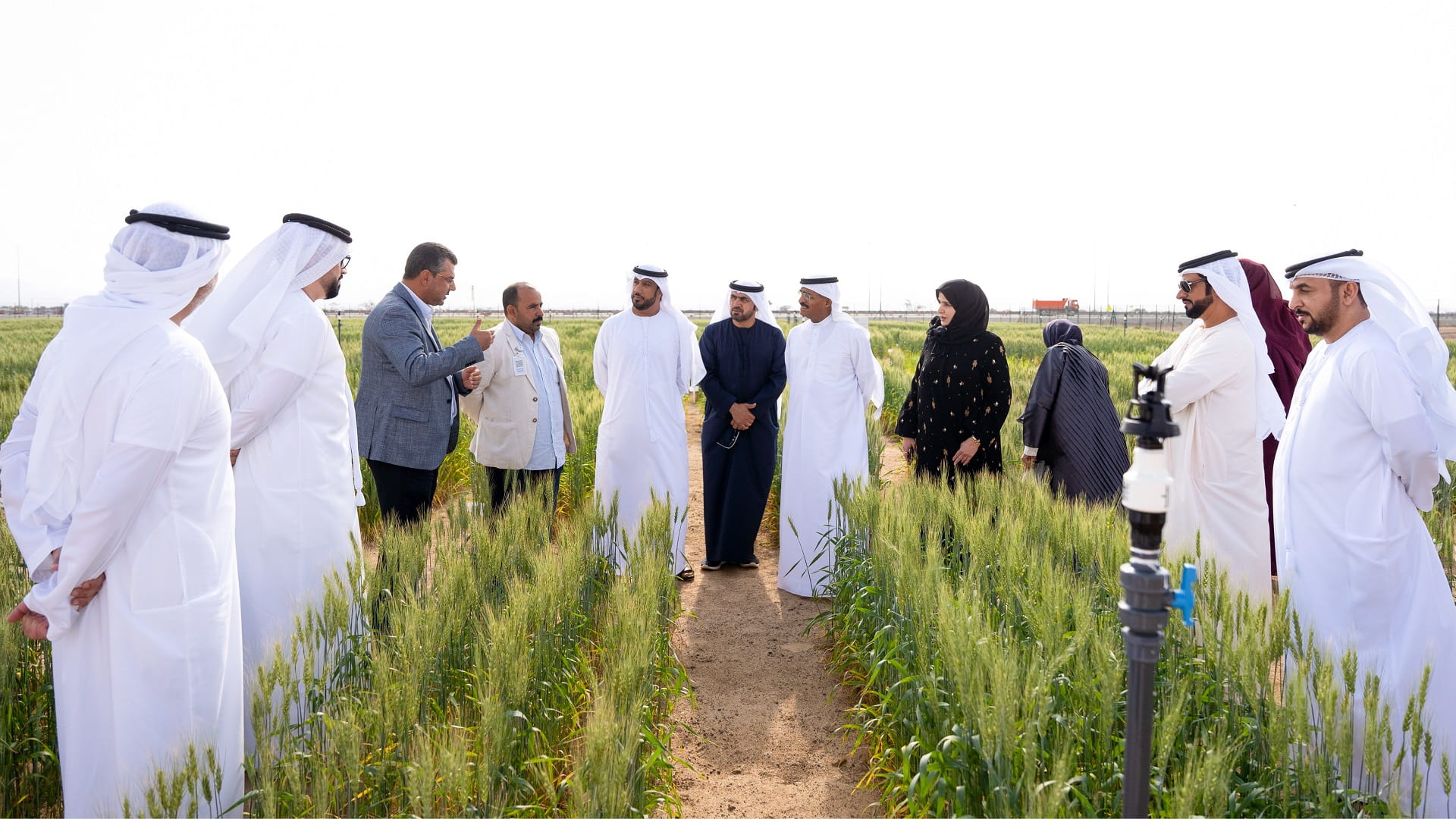 Image for the title: SCC delegation visits Wheat Farm in Mleiha 