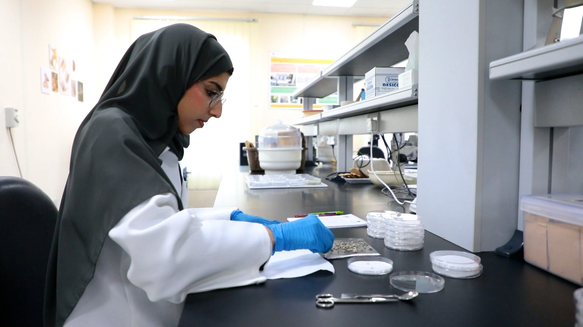 Image for the title: EPAA prepares its national staff in "Genetic Barcoding" research 