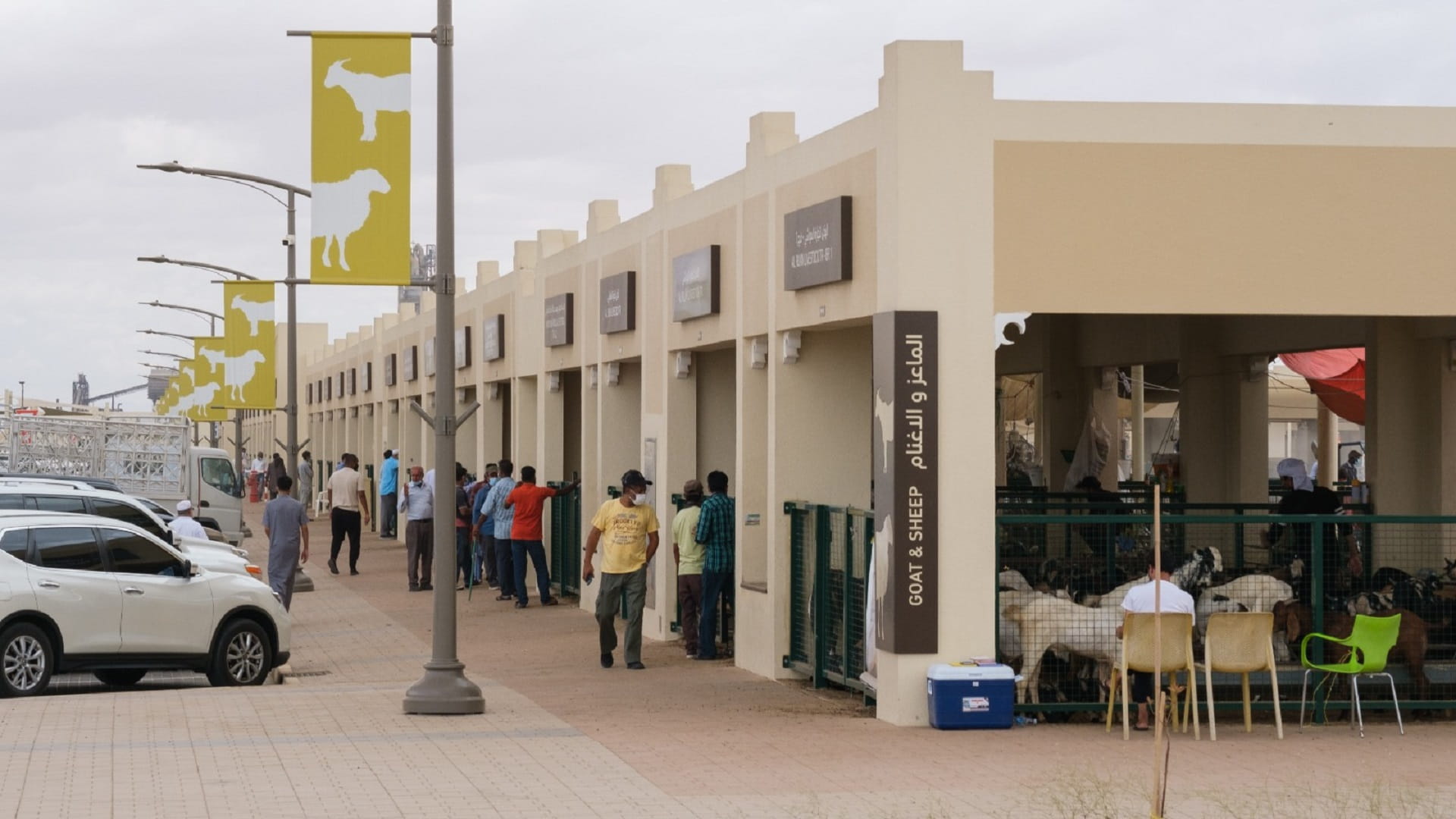 صورة بعنوان: "أسواق الشارقة للمواشي" تستعد لاستقبال زوارها في الشهر الفضيل 