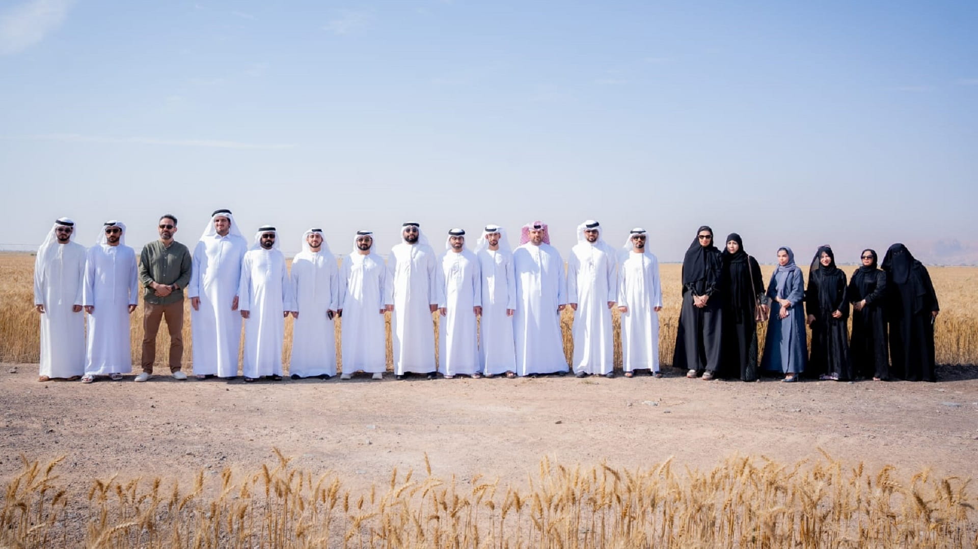 Image for the title: SRERD delegation visits Mleiha wheat farm 