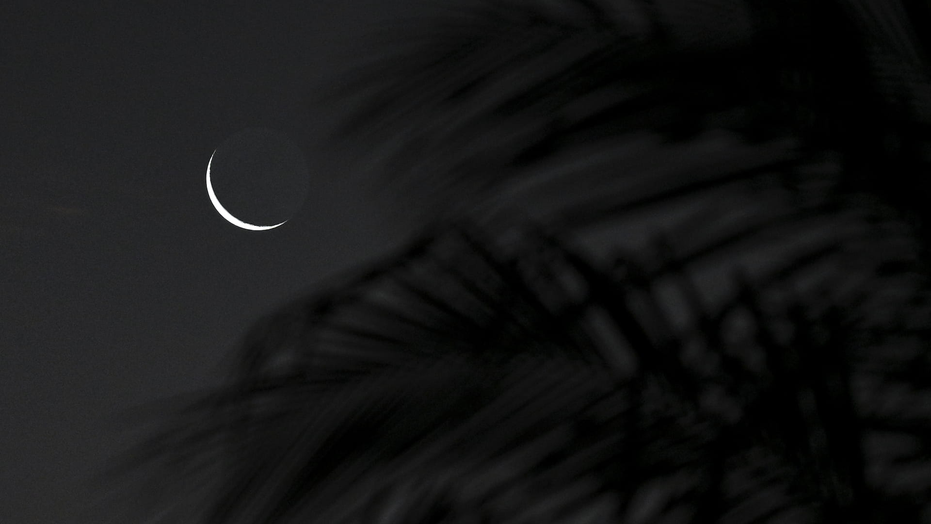 صورة بعنوان: لجنة "التحري" تدعو المسلمين لتحري هلال شهر رمضان الأحد المقبل 