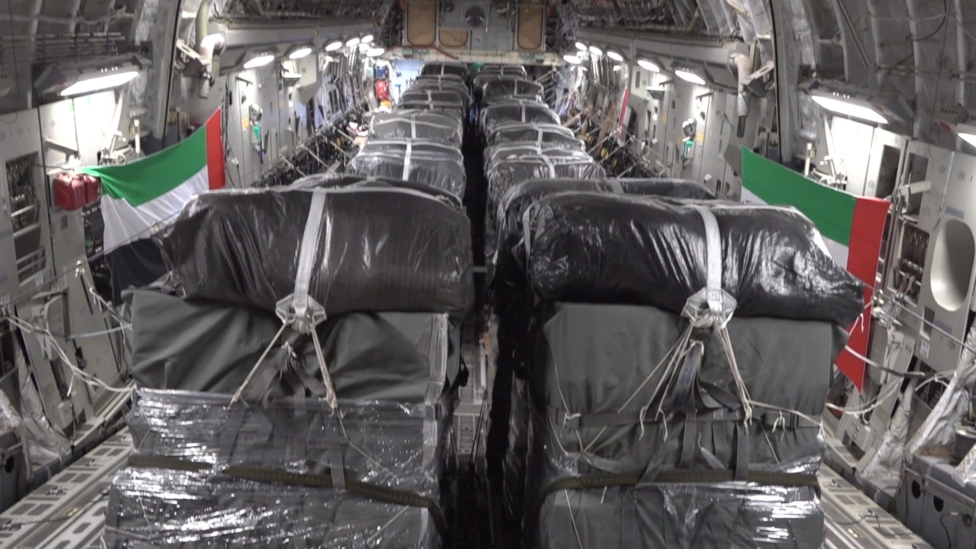 Image for the title: UAE, Egypt airdrop eighth humanitarian aid batch in Gaza  